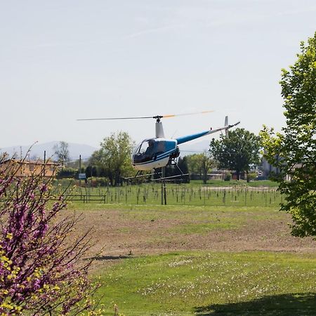 Hotel del Rio Srl - RISTORANTE e Azienda agricola Casinalbo Esterno foto