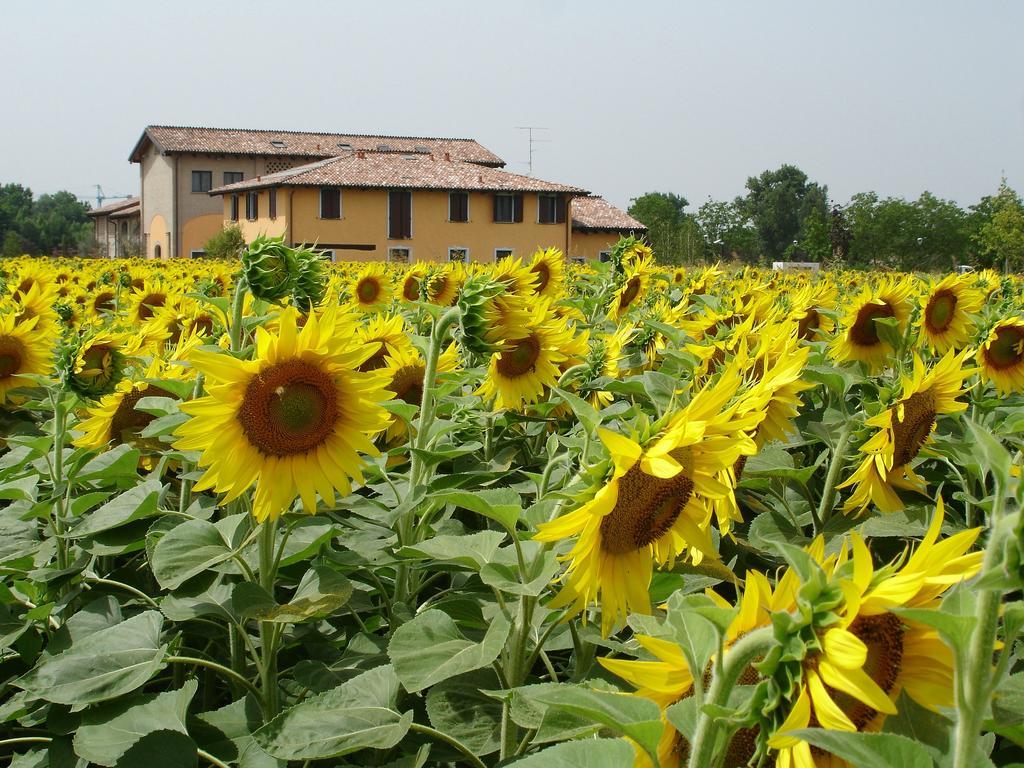 Hotel del Rio Srl - RISTORANTE e Azienda agricola Casinalbo Esterno foto