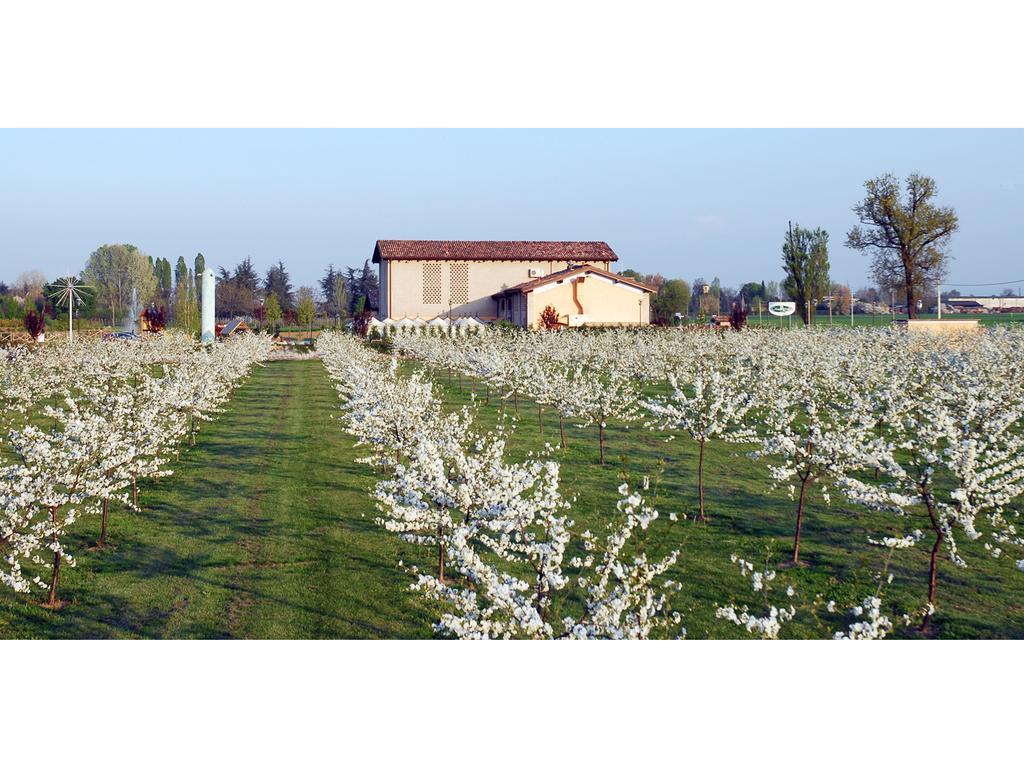 Hotel del Rio Srl - RISTORANTE e Azienda agricola Casinalbo Esterno foto
