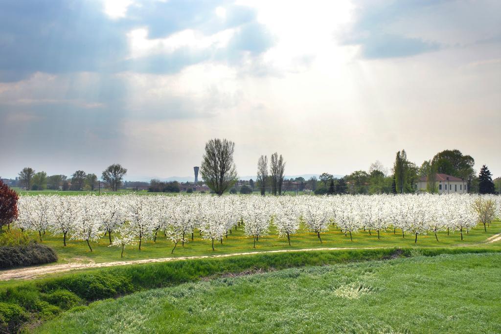 Hotel del Rio Srl - RISTORANTE e Azienda agricola Casinalbo Esterno foto